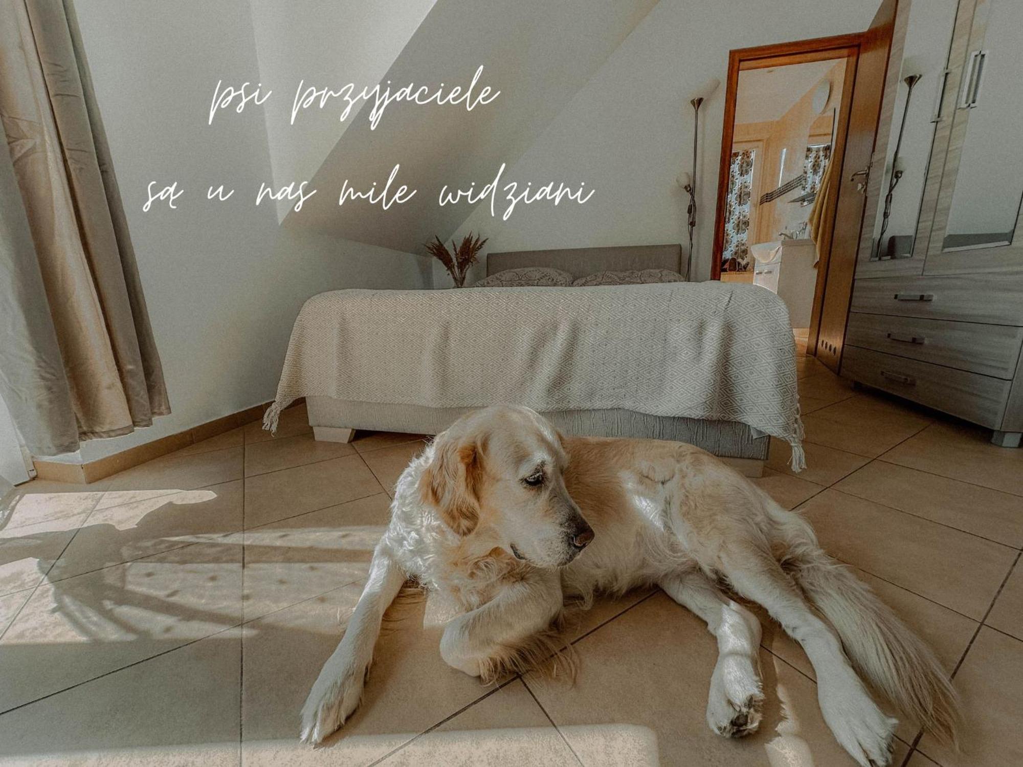 Łazy Boho Przystan 아파트 외부 사진